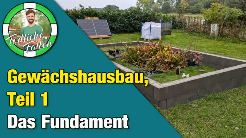 Bau eines Gewächshausfundaments