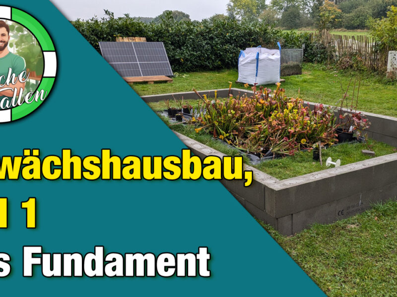 Bau eines Gewächshausfundaments